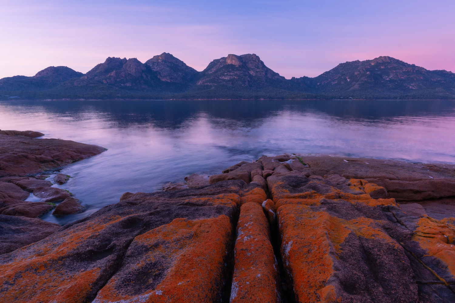 Are you Lichen this view?