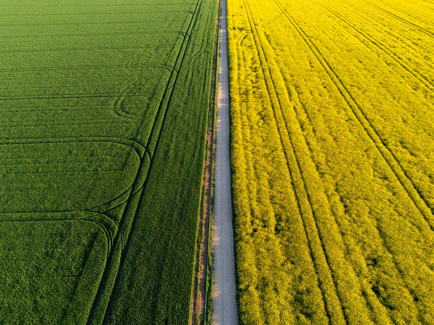 Tale of two stories (fields)